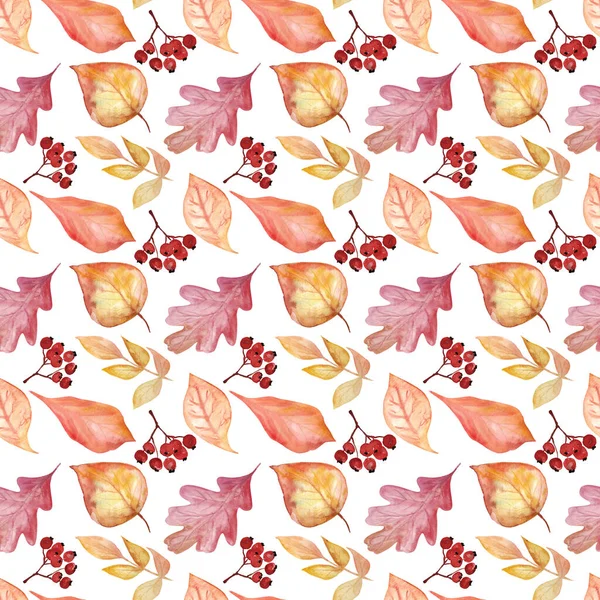 Watercolor Seamless Autumn Pattern Pumpkin Fall Leaves White Background Thanksgiving — Stock Photo, Image