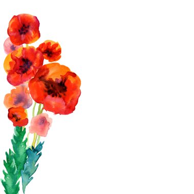 White background with watercolor poppies and copy space