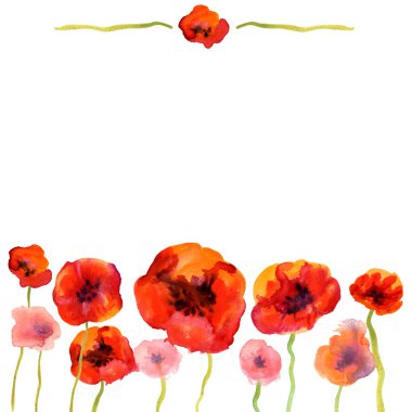 White background with watercolor poppies and copy space