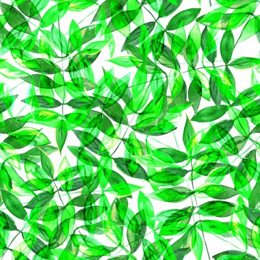 Seamless watercolor green leaves pattern with white background