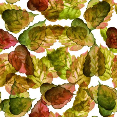 Seamless watercolor brown leaves pattern with white background