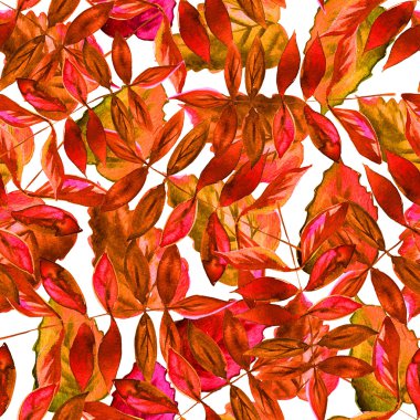 Seamless watercolor red leaves pattern with white background