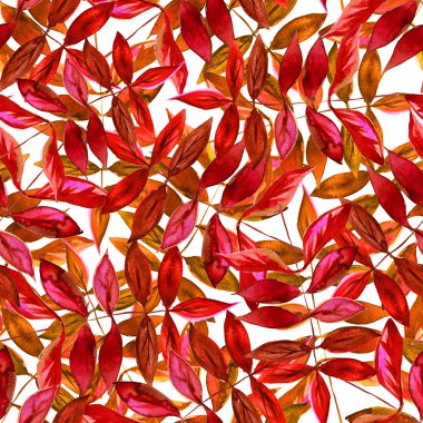 Seamless watercolor red leaves pattern with white background