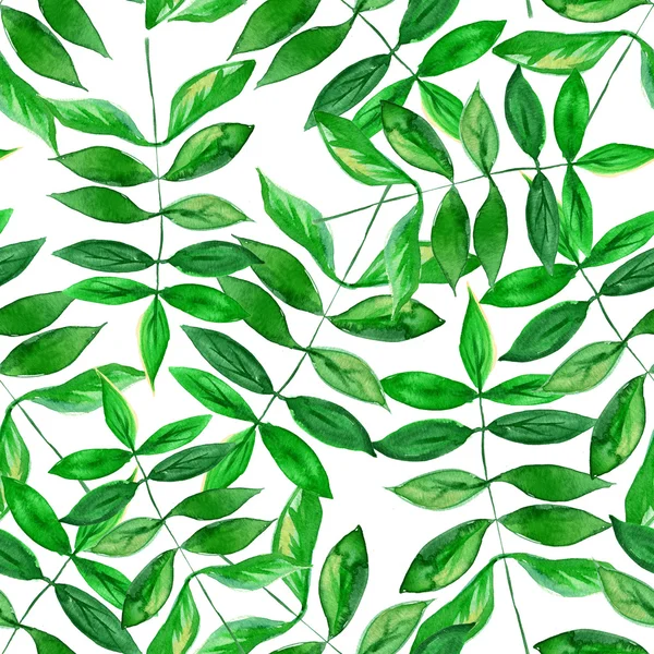 Seamless watercolor green leaves pattern with white background — Zdjęcie stockowe