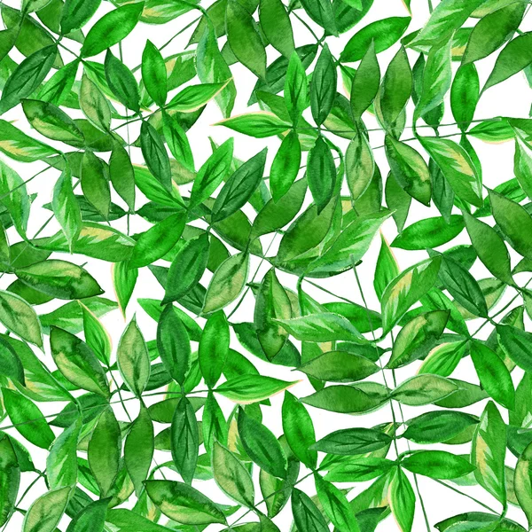 Seamless watercolor green leaves pattern with white background — Stock Photo, Image