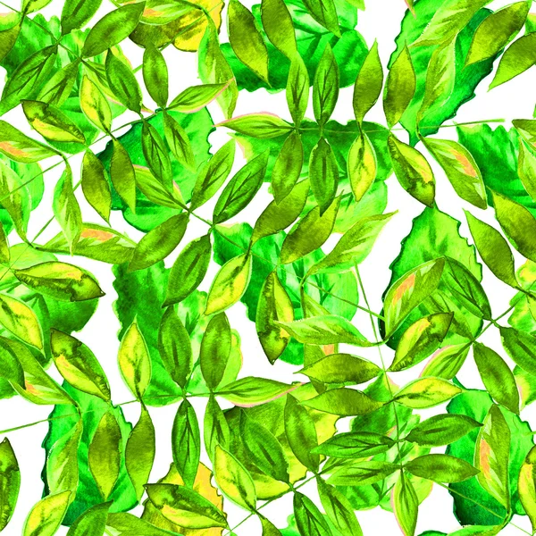 Seamless watercolor green leaves pattern with white background — ストック写真