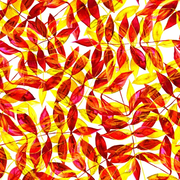 Aquarelle sans couture motif de feuilles rouges avec fond blanc — Photo