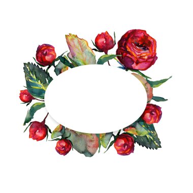 Kırmızı kırılgan gül ve kopya alanı desenle