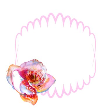 Beyaz arka plan ile orkide ve kopya alanı