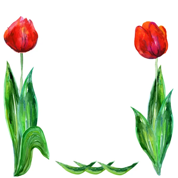 Tarjeta romántica con tulipanes rojos y espacio para copiar — Vector de stock