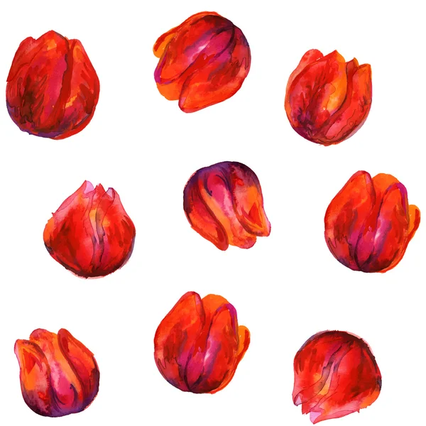 Nahtloses weißes Muster mit roten Tulpen — Stockvektor
