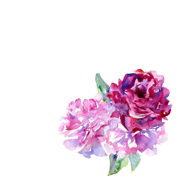 Vit bakgrund med violett, rosa peons och kopiera utrymme — Stock vektor