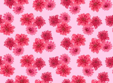 Yıldızçiçekleri ile sorunsuz çiçek desenli