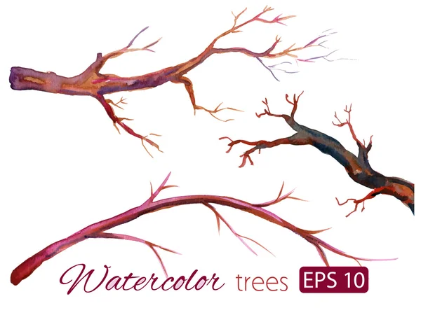 Watercolor branches of isolated colorful trees — Stock Vector