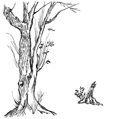 Elle çizilmiş ağaç siluet ve güdük