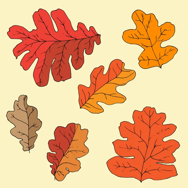 Conjunto de diferentes hojas aisladas de roble dibujadas a mano — Vector de stock
