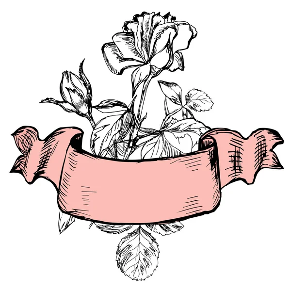 Isolerade rosor med gammal stil menyfliksområdet — Stock vektor
