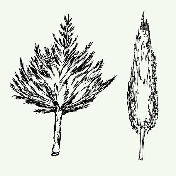 Hand getekend zwart-wit verschillende soorten boom — Stockvector