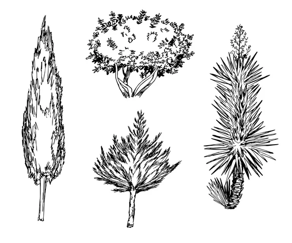 Hand getekend zwart-wit verschillende soorten boom — Stockvector