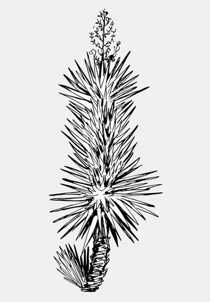 Tangan digambar hitam dan putih pohon palem tunggal - Stok Vektor