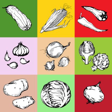 Web Icon set farklı elle çizilmiş sebze