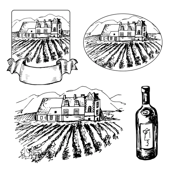 Conjunto de diferentes sibilos de viñedo y botella de vino — Archivo Imágenes Vectoriales