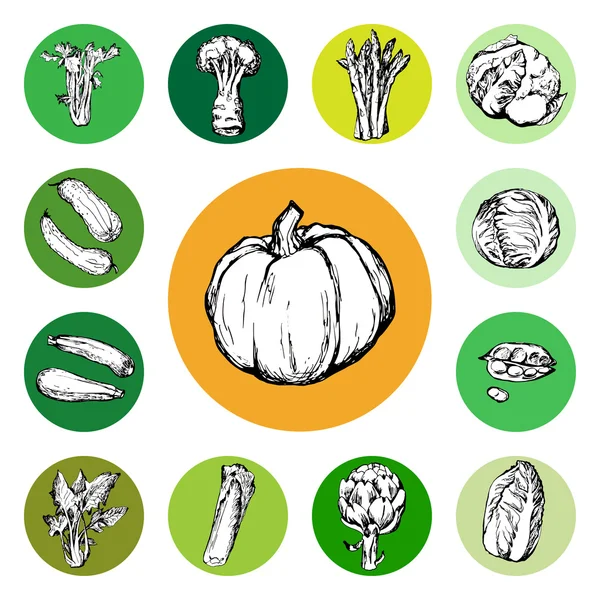 Conjunto dibujado a mano de verduras verdes y calabaza — Archivo Imágenes Vectoriales