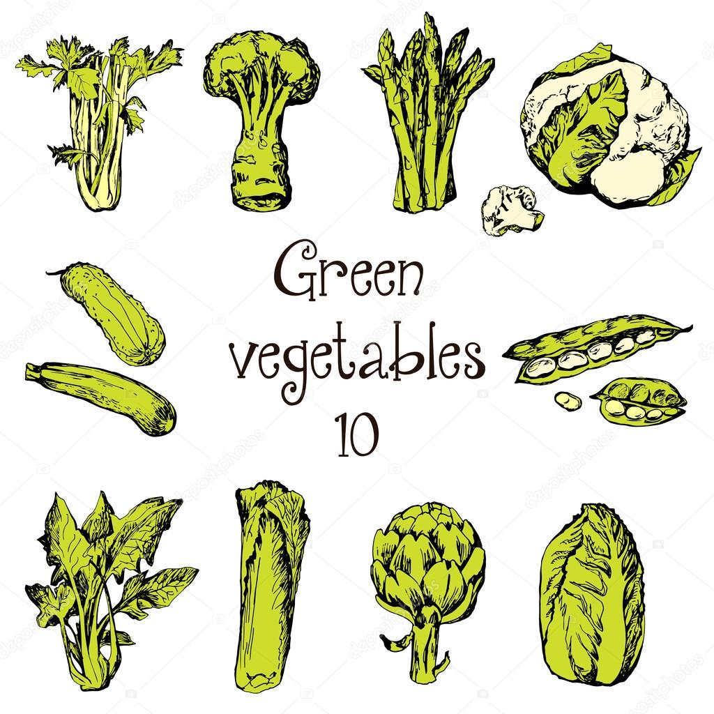 Hand drawn set of green vegetables — Stock Vector © Naniti #86328464