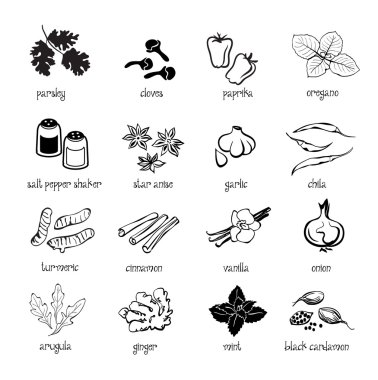 Web Icon set - baharatlar, çeşniler ve otlar kümesi