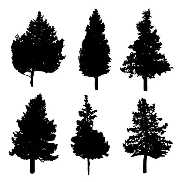 Silhouettes de différents types de sapins et de pins — Image vectorielle