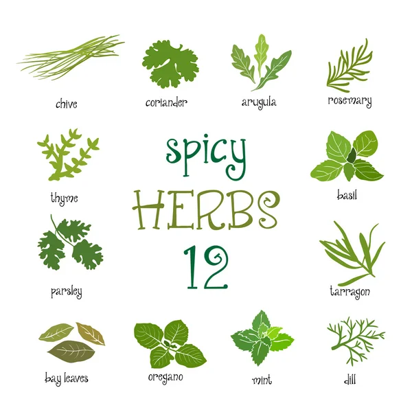 Web icon set of different spicy herbs — Stock Vector