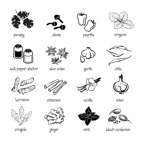 Webes icon set - fűszerek, fűszerek és fűszernövények gyűjteménye — Stock Vector