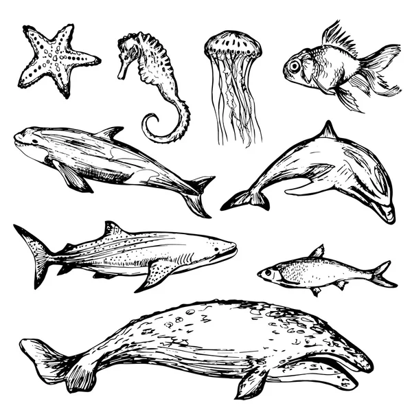 Çeşitli deniz hayvanları el çekilmiş — Stok Vektör
