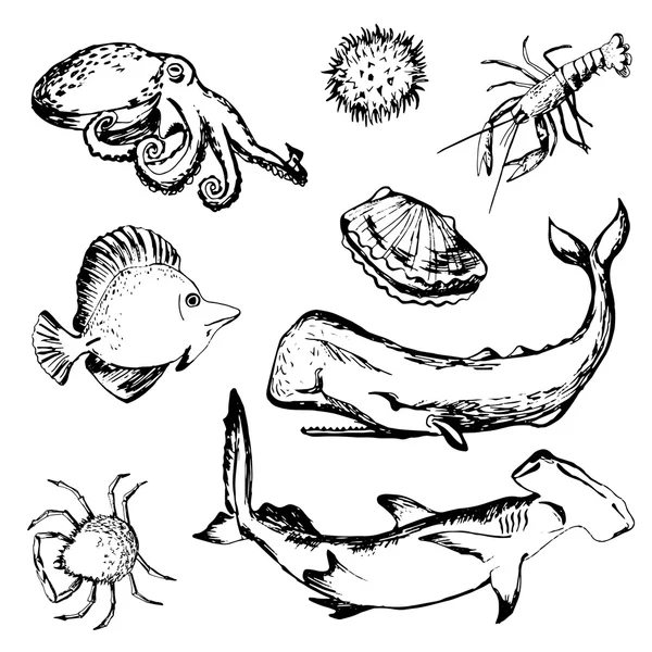 手描きの海の生活: 貝、ロブスター、マッコウクジラ、サメ — ストックベクタ