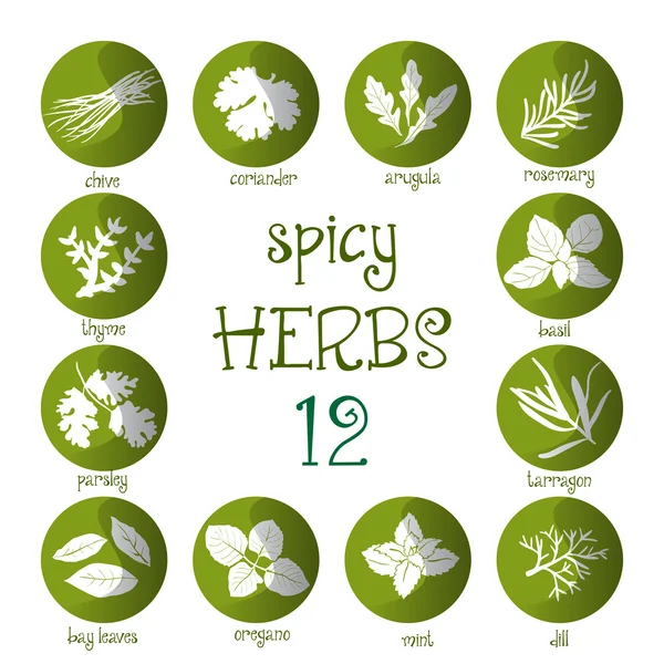 Web icon set of different spicy herbs — Stock Illustration Web icon set of different spicy herbs Royalty Free Stock Illustrations