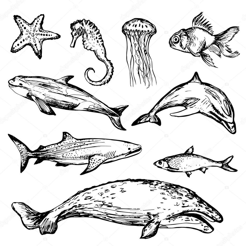 Hand drawn different types of sea animals