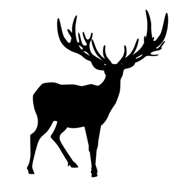 Balck siluet büyük boynuz ile geyik