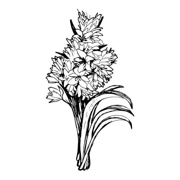 Flores dibujadas a mano sobre fondo blanco — Vector de stock