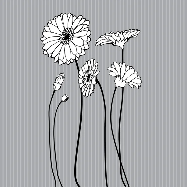 Hand drawn wildflower on grey background — Stock Vector