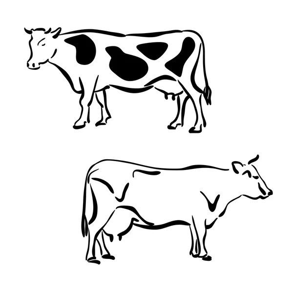 Czarno-białe sylwetki krów — Wektor stockowy