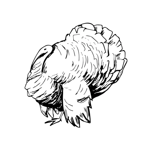 Hand drawn black and white turkey — Stock Vector