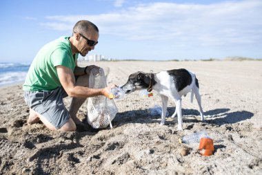 Adam ve köpeği plajı plastik şişelerden temizliyor. Seçici odaklanma. Boşluğu kopyala