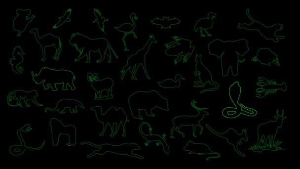 Tiere Hellgrün Animierte Beleuchtungsaufnahmen — Stockvideo