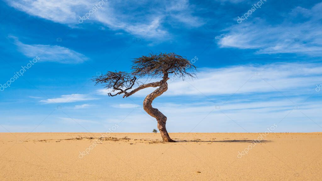 sahel #hashtag