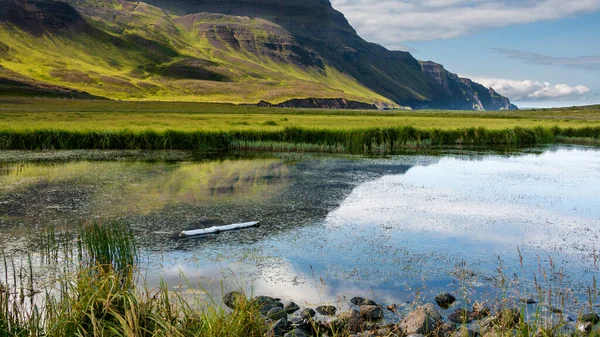 Tronco Árvore Flutuando Manto Água Pântano Exuberante Paisagem Musgosa Verde — Fotografia de Stock