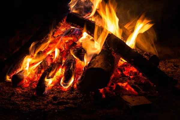 close-up of blazing campfire flames in total darkness with glowing ember