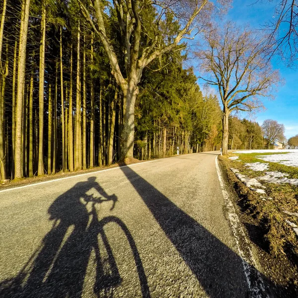 Sunny winter forest road landscape with cyclist shadow on tarmac