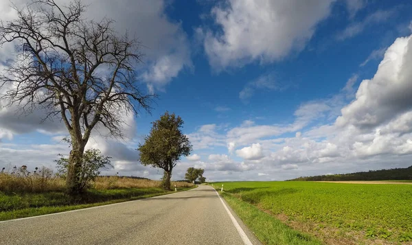 Diminishing Perspective Driver Pov Empty Country Road Horizon Summer Day — Stock Photo, Image