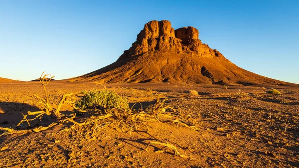 Topo Montanha Nua Deserto Saara Paisagem Pôr Sol Luz Marrocos — Fotografia de Stock