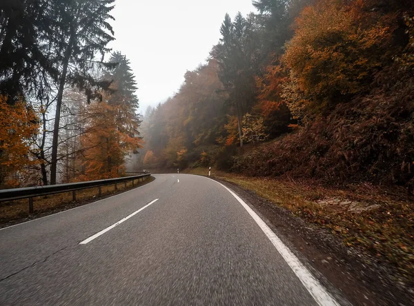 Kierowca Pov Krętych Dróg Krajowych Przez Las Jesiennych Kolorowych Liści — Zdjęcie stockowe